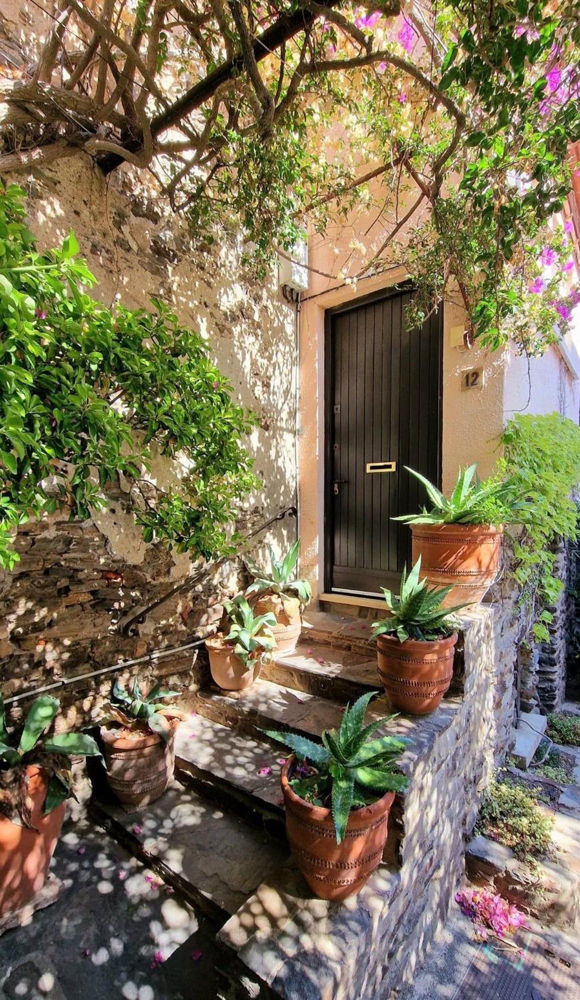6Alz8 Appartement Pour 6 Personnes コリウール エクステリア 写真